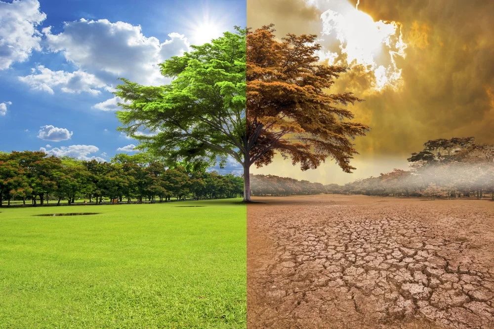 Convocatoria para la Academia virtual de Resiliencia Climática del Smithsonian, dirigida a educadores para enseñar adaptación al cambio climático y STEM a jóvenes