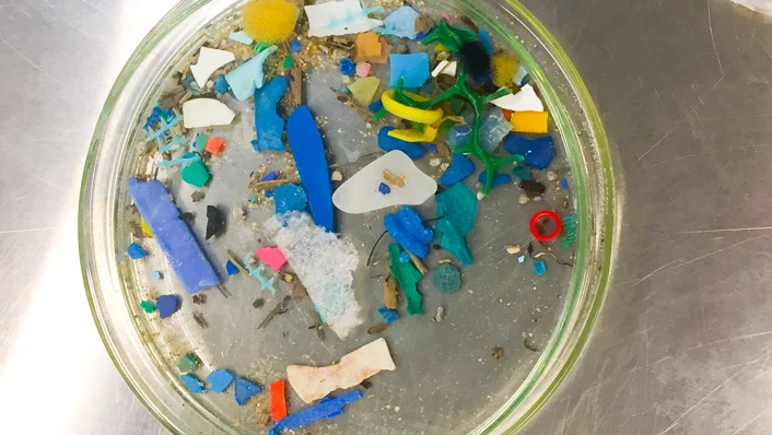 Explicación de cómo los plásticos llegan al mar y se convierten en microplásticos